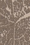 Grounded Map